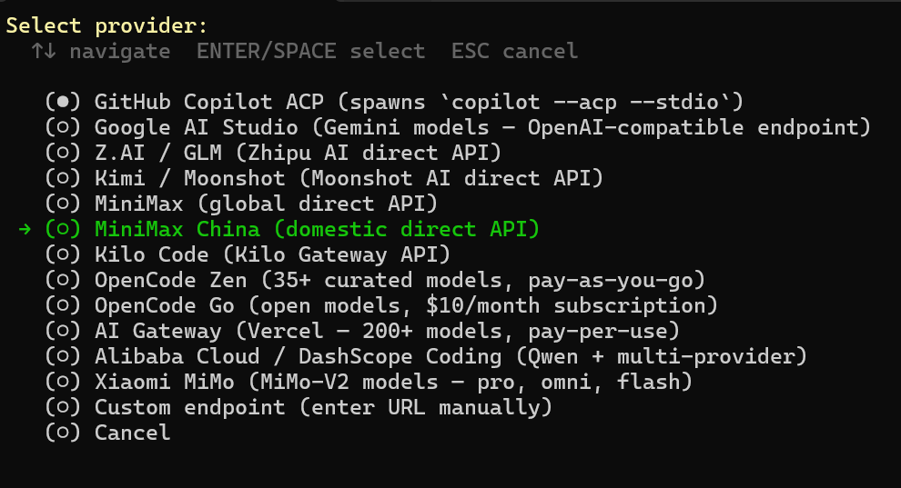 选择模型 Provider