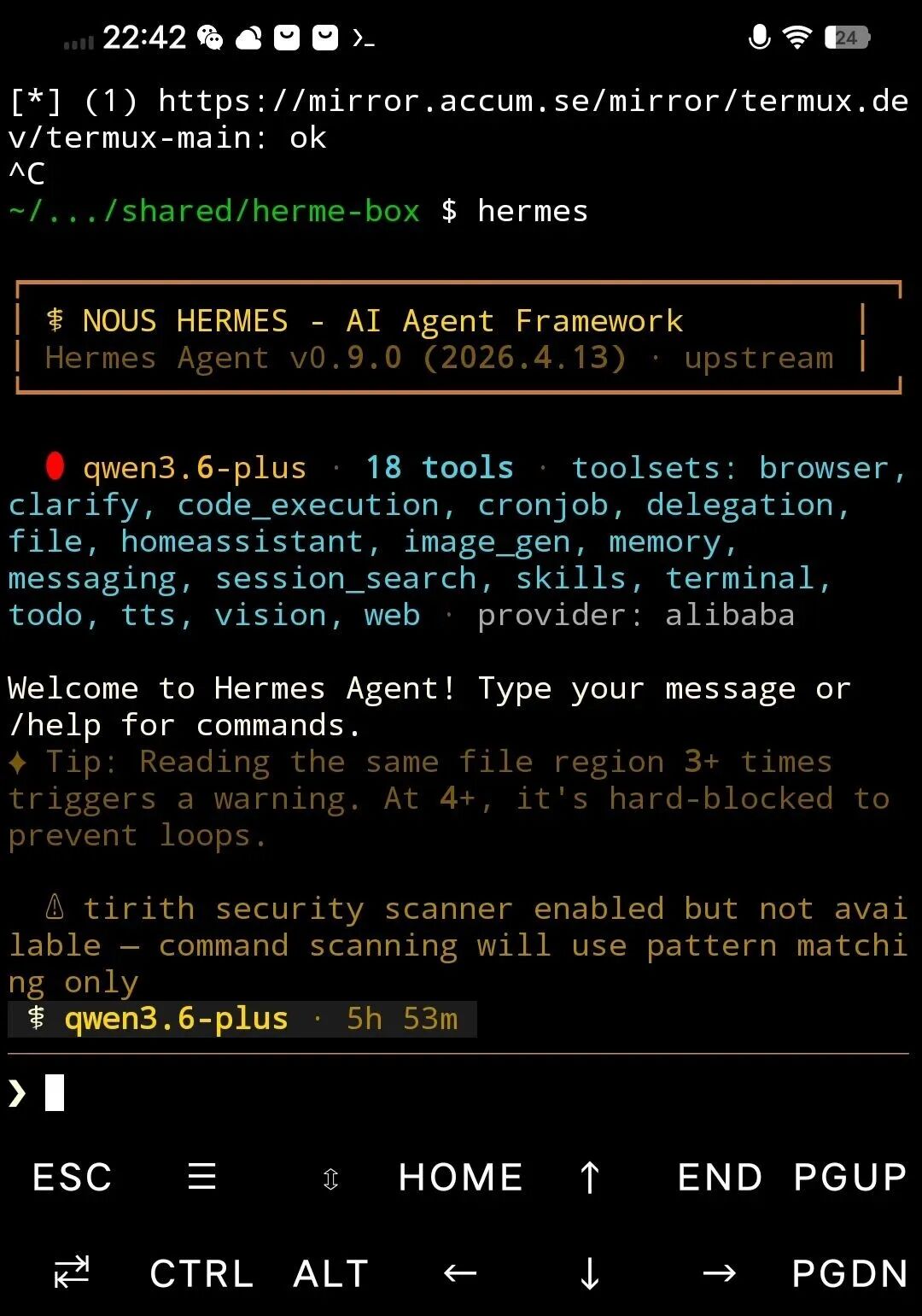 Termux 部署完成界面