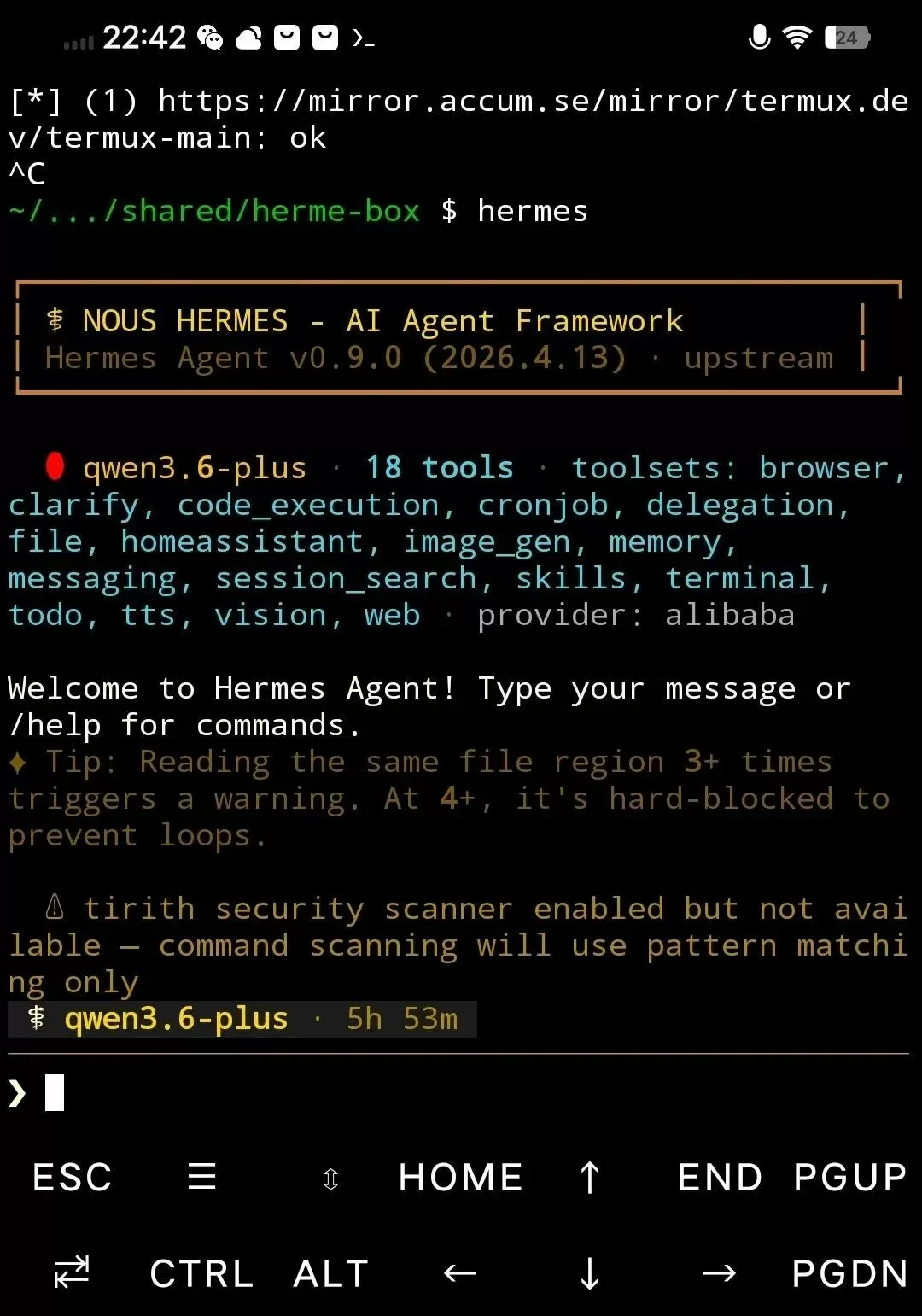 Termux 部署完成界面