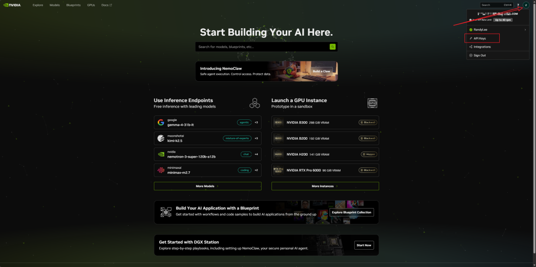 NVIDIA 平台 API Keys 入口