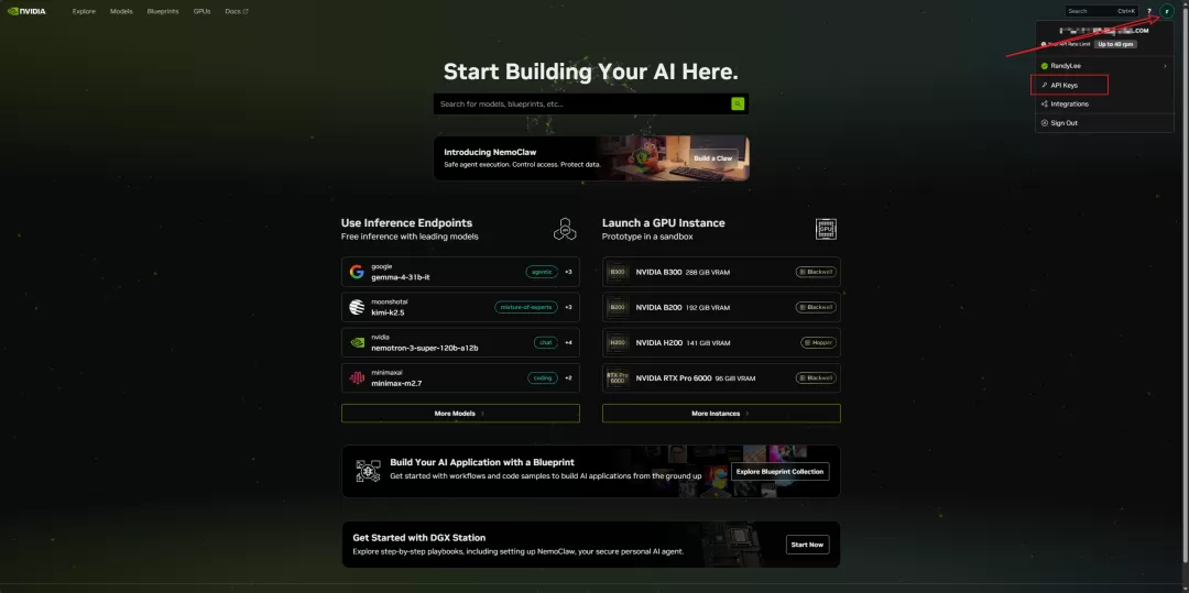 NVIDIA 平台 API Keys 入口