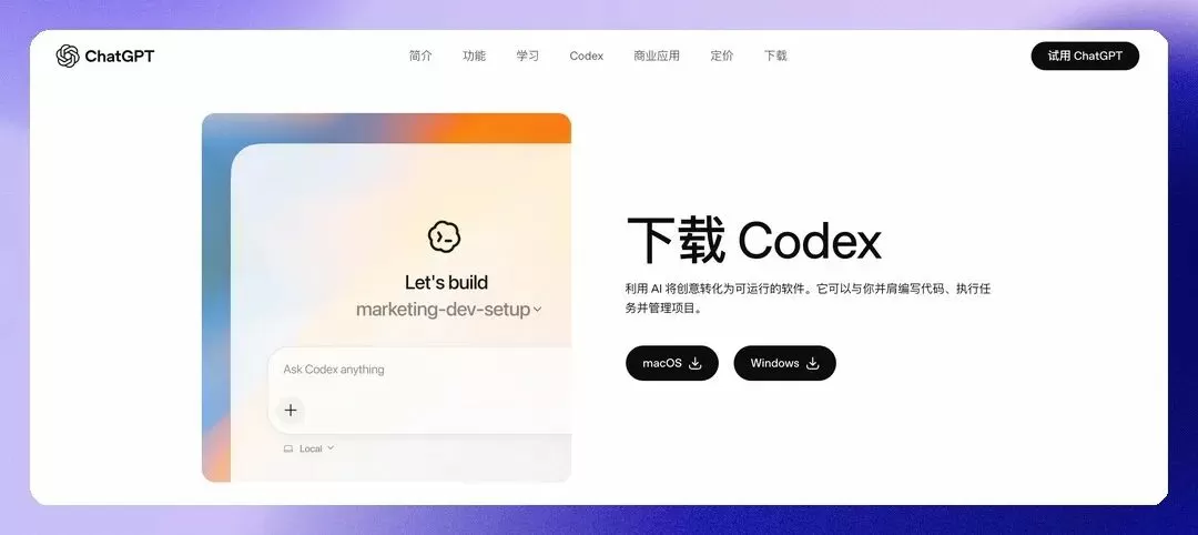 图片 3