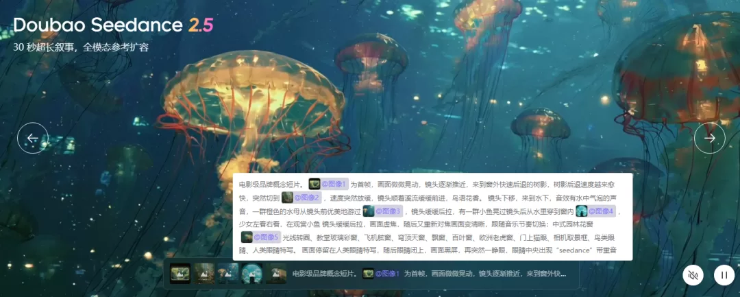 Seedance 2.5 官方提示词指南
