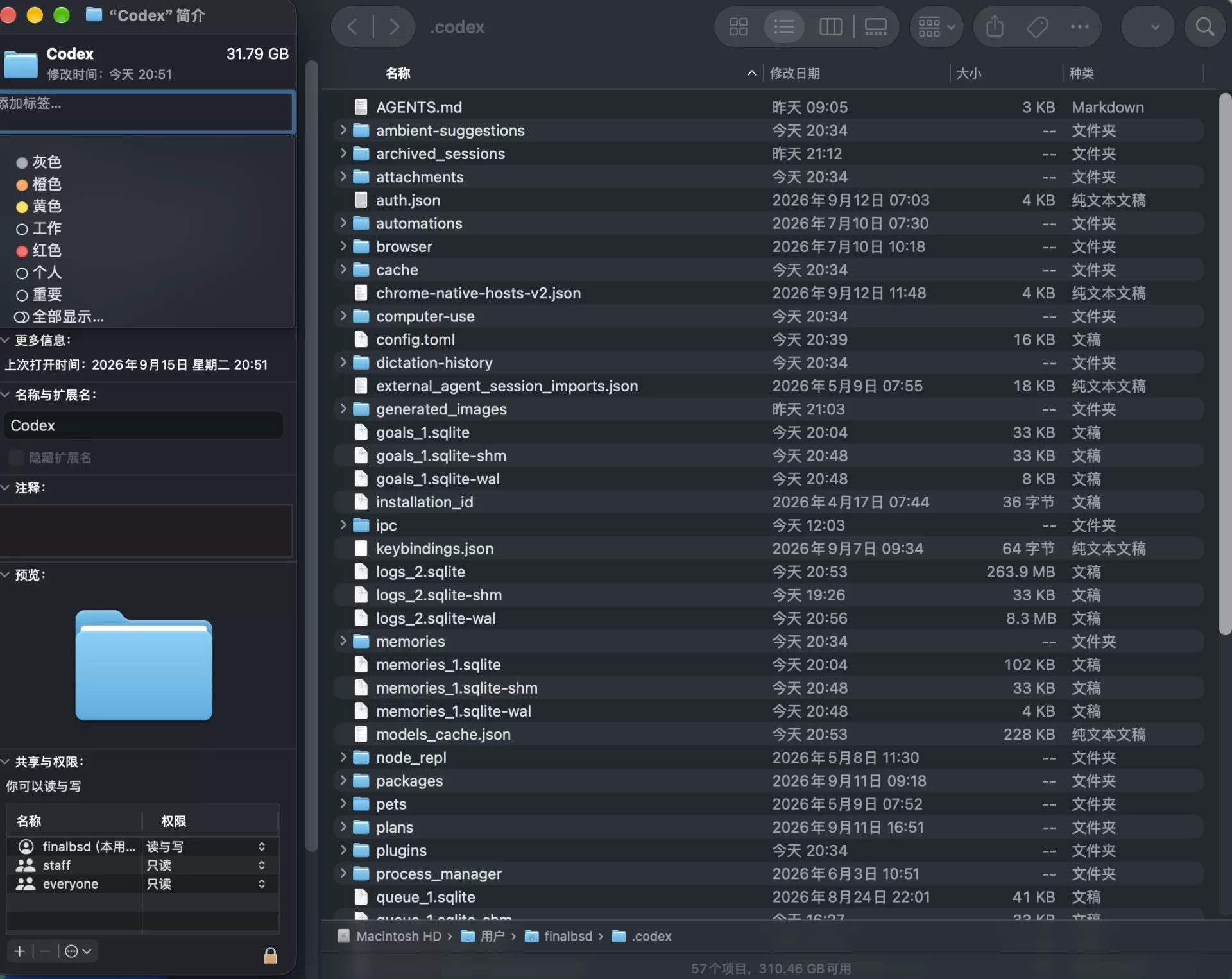 用户 Codex 目录占用 31.79 GB