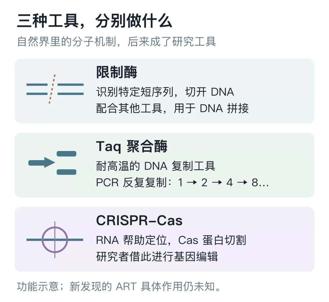图片 3