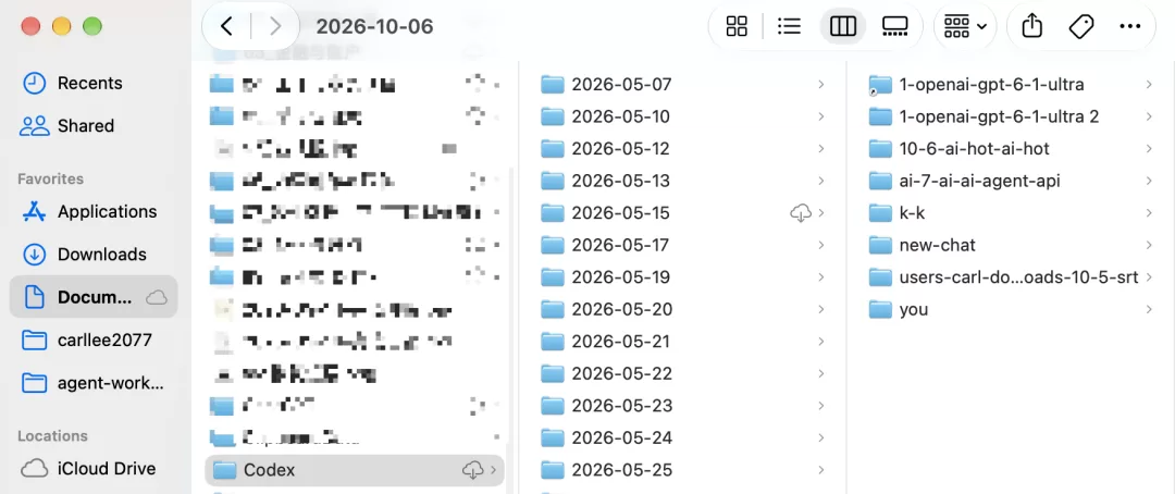 Codex文件管理问题