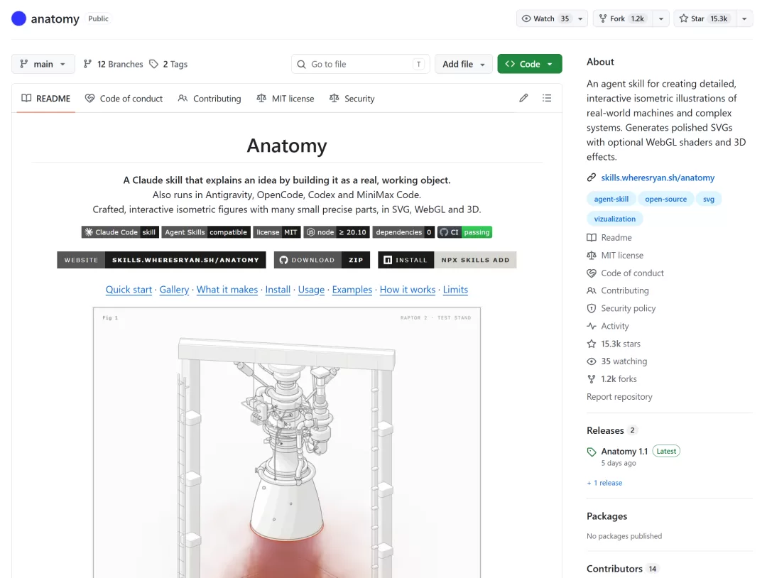 Anatomy