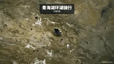 青海湖环湖动画