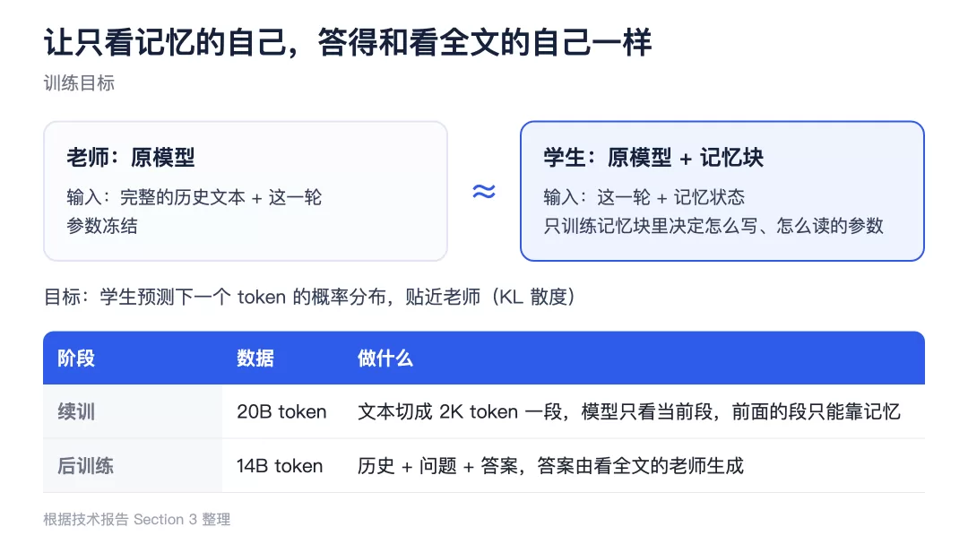自我蒸馏