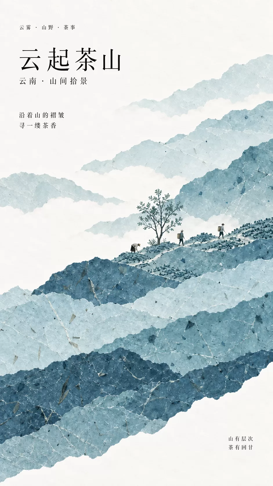 云南：云起茶山