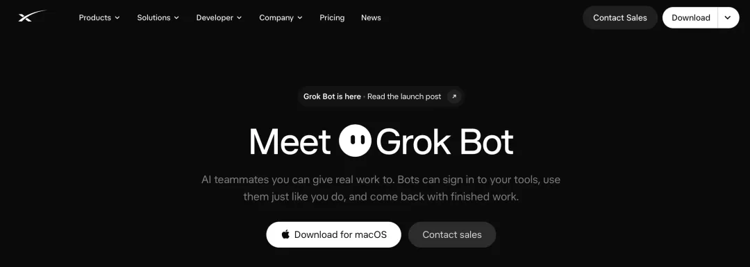 Grok Bot 下载页面