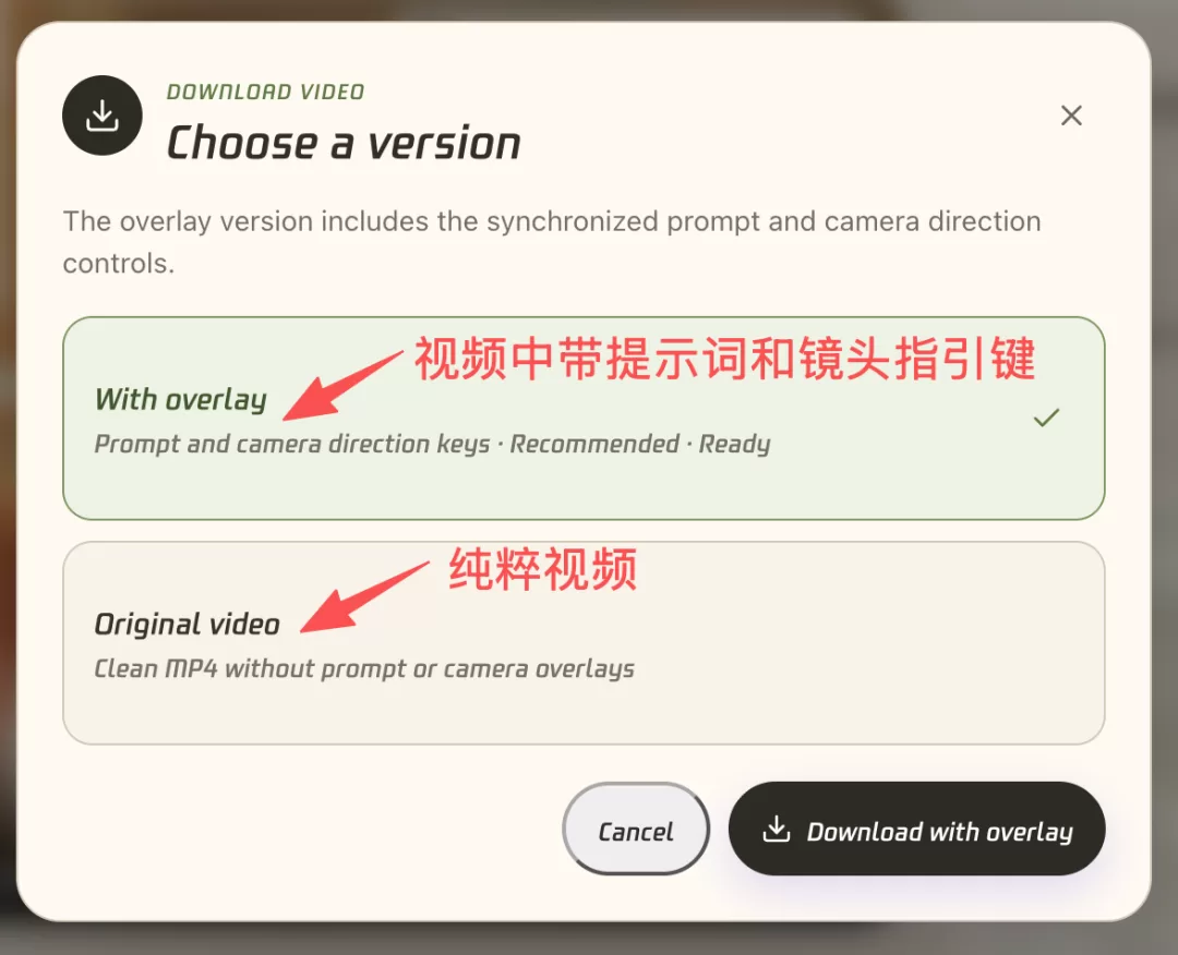 下载视频选项