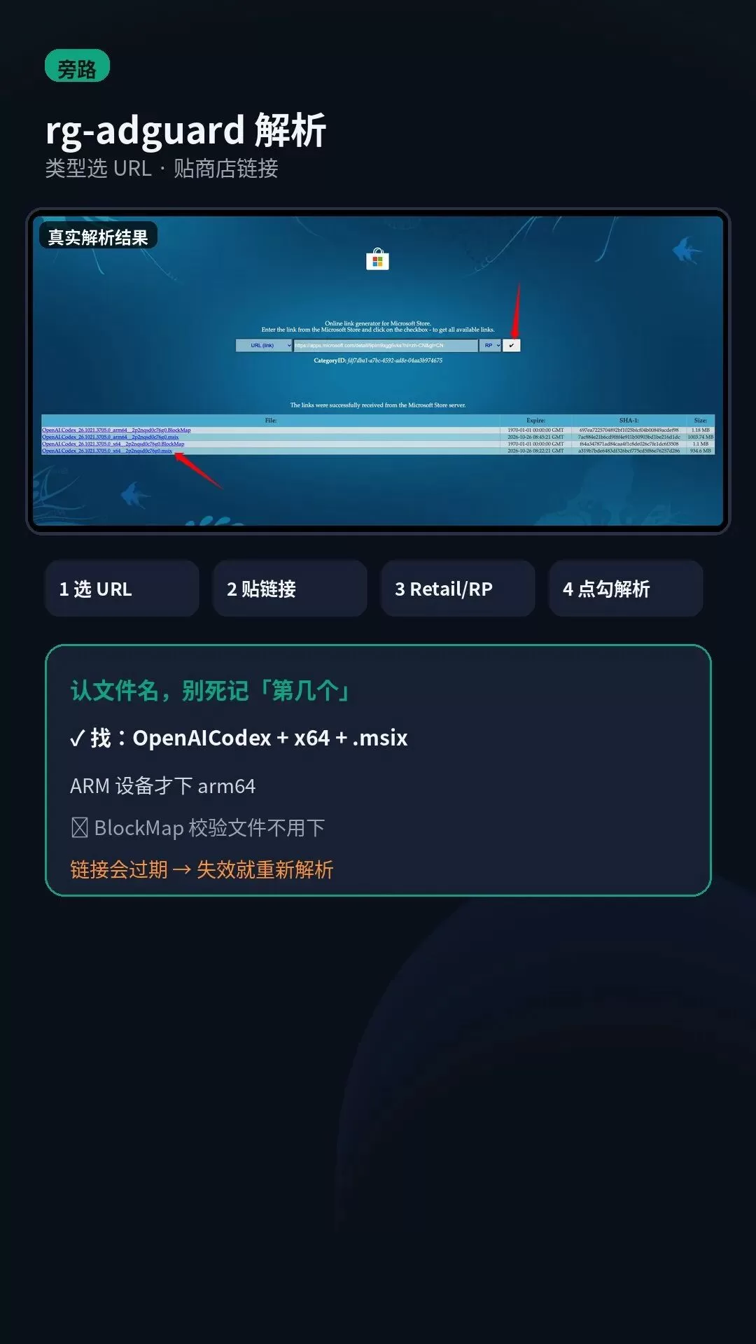 rg-adguard 解析