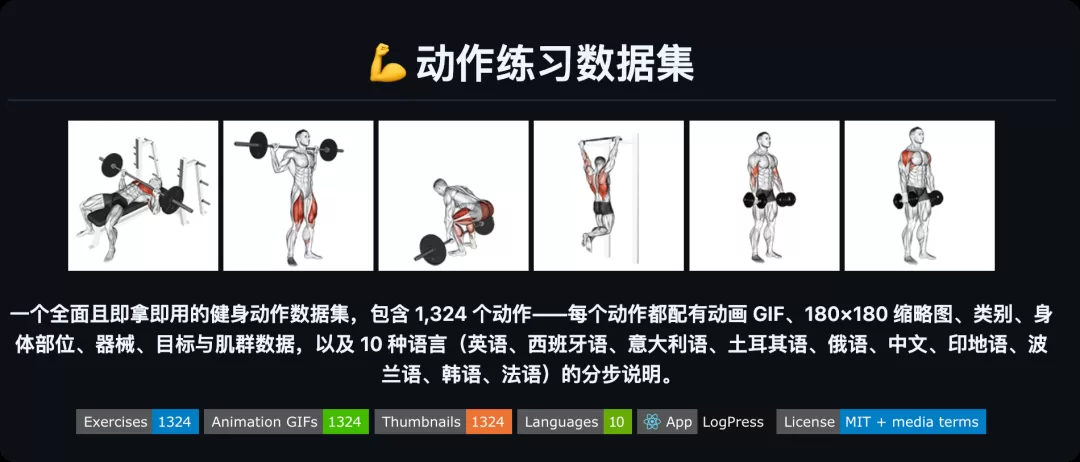 健身动作数据集
